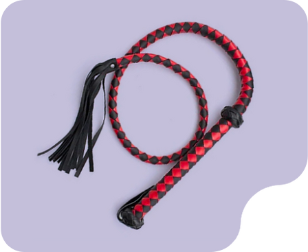 Bullwhip
