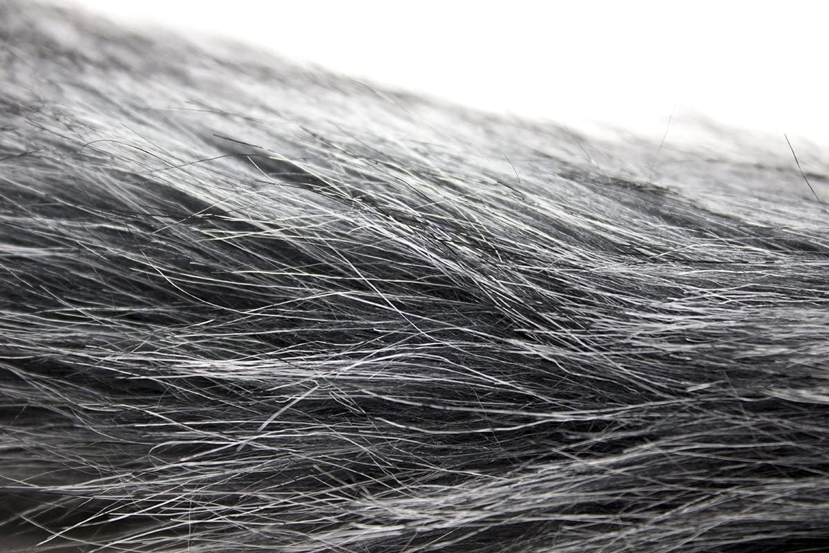 Gray Whisper - Tail plug coda Anale Grigia