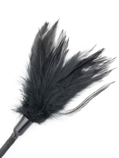 Paletta di pizzo BDSM con piume